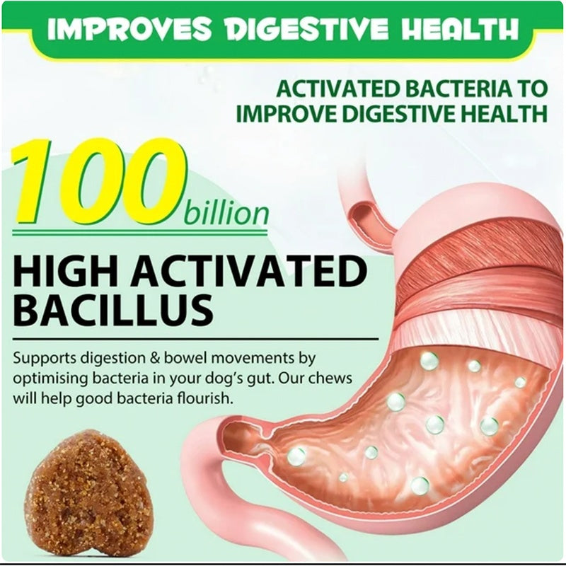 Hot Sales Probiotics Chews For Pets Customized Shape For Digestive Health Pets Supplement Healthy Gut For Dogs