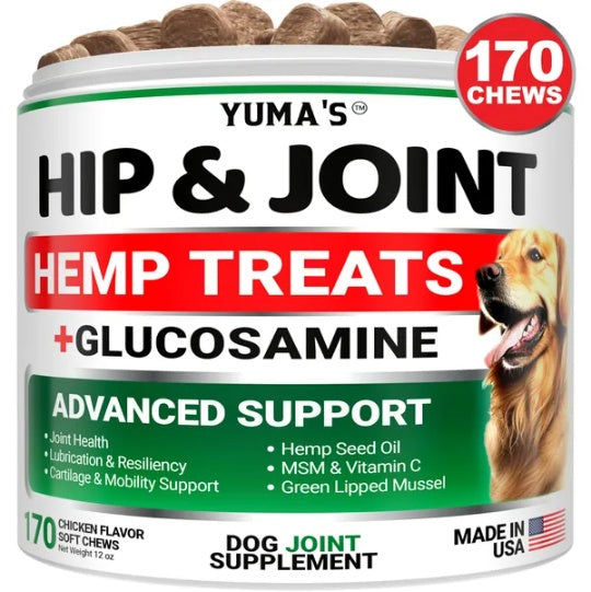Hemp Hip And Joint Supplement For Dogs Glucosamine For Dogs Joint Pain Relief With MSM Advanced Dog Joint Supplement Health Glucosamine For Dogs Chews