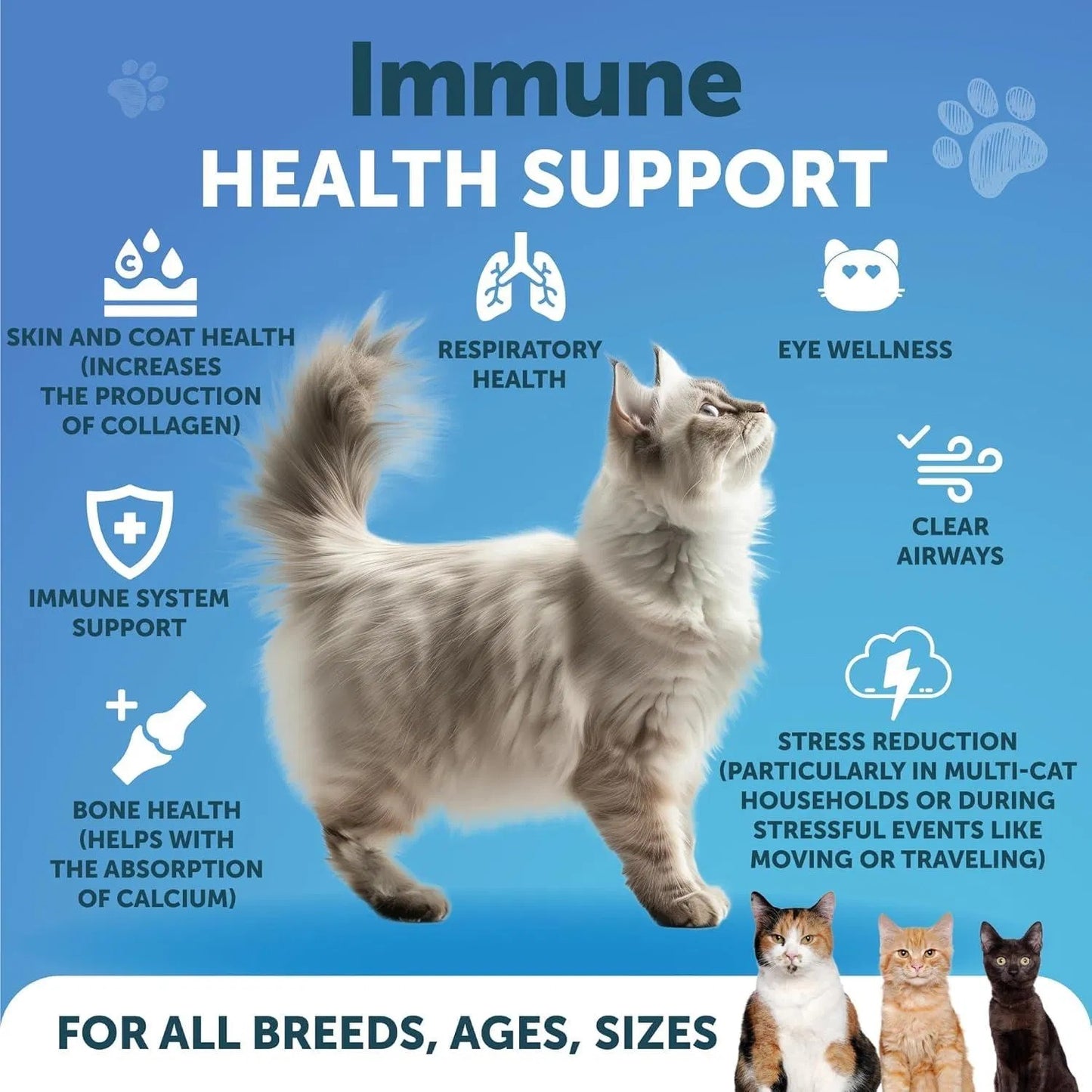 L-Lysine For Cats Lysine Powder Supplement 900mg Serving Immune Support For Cats & Kittens Sneezing Runny Nose Squinting Watery Eyes Cold Eye Respiratory Health With Taurine