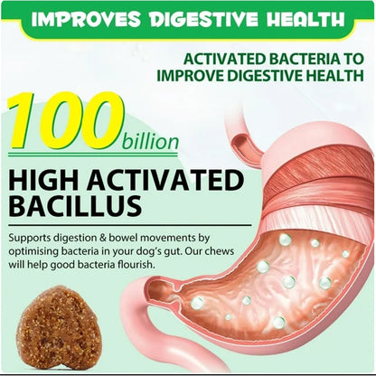 Hot Sales Probiotics Chews For Pets Customized Shape For Digestive Health Pets Supplement Healthy Gut For Dogs