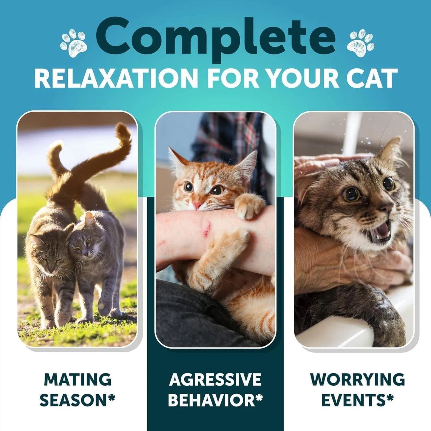 Hemp Cat Calming Treats For Stress & Anxiety Relief Cat Kittens Melatonin