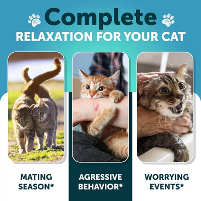 Hemp Cat Calming Treats For Stress & Anxiety Relief Cat Kittens Melatonin