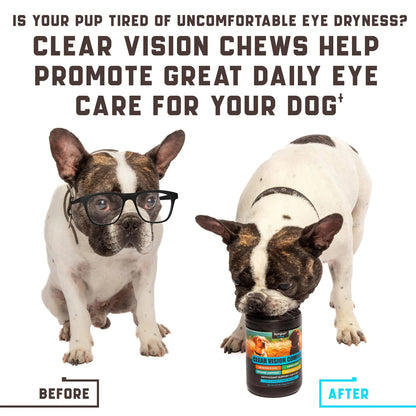 Eye Vitamins For Dogs Dog Vision Supplement For Tear Stains Dog Eye Care Immune Support Vitamin