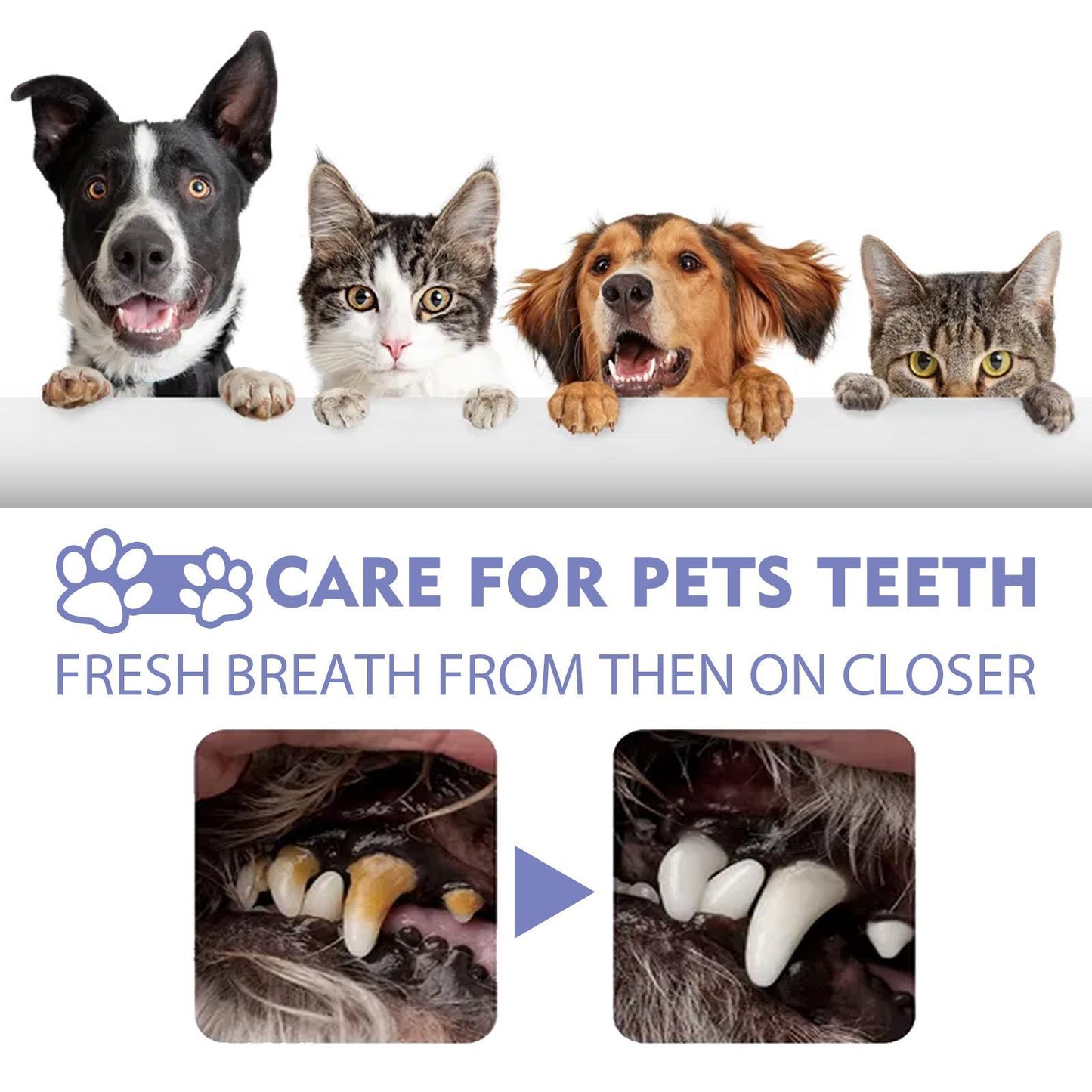 Yegebang Cat And Dog Teeth Cleaning Spray Pet Oral Cleaning Deodorizing Fresh Breath