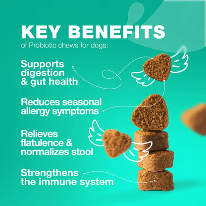 Probiotics For Dogs Support Gut Health Immunity Yeast Balance Itchy Skin Allergies Probiotics And Digestive Enzymes Coprophagia Deterrent For Dogs 180 Probiotic Chews For Dogs