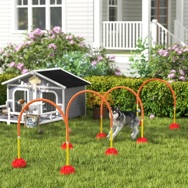 4 Piece Dog Agility Course Backyard Set , Carry Bag