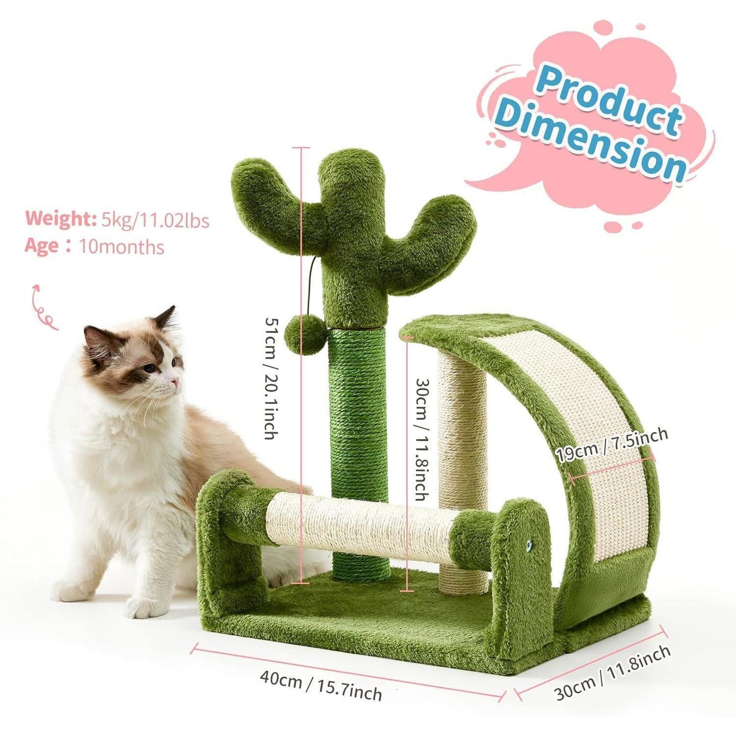 Cactus Shape Natural Sisal Rope Easy To Assemble Green Cat Scratching Post