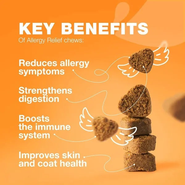 Dog Allergy Relief Chews Itch Relief For Dogs Anti Itch Dog Allergy Chews US Formulated Dog Itching Skin Relief With Salmon Oil Immune Health Seasonal Allergies & Hot Spots Support Treats