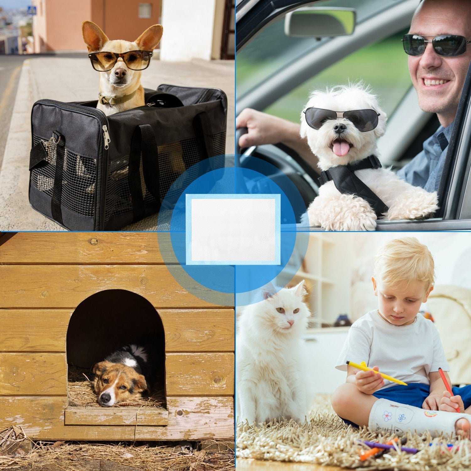 50Pcs Per Set Dog Training Pads Puppy Pee Pads Cat Wee Mats Potty-Train 24in X 18in M