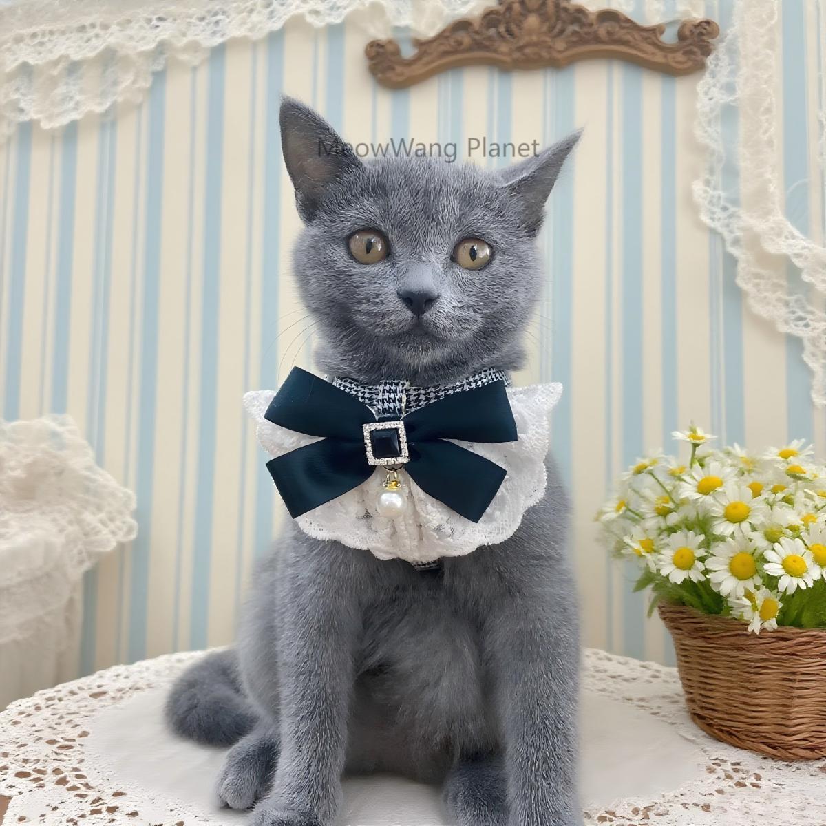 Dog Leash Cat Leash Luxury Lace Pet Harness Leash Set Elegant Inspired Adjustable Escape Proof Vest For Cats Small Dogs