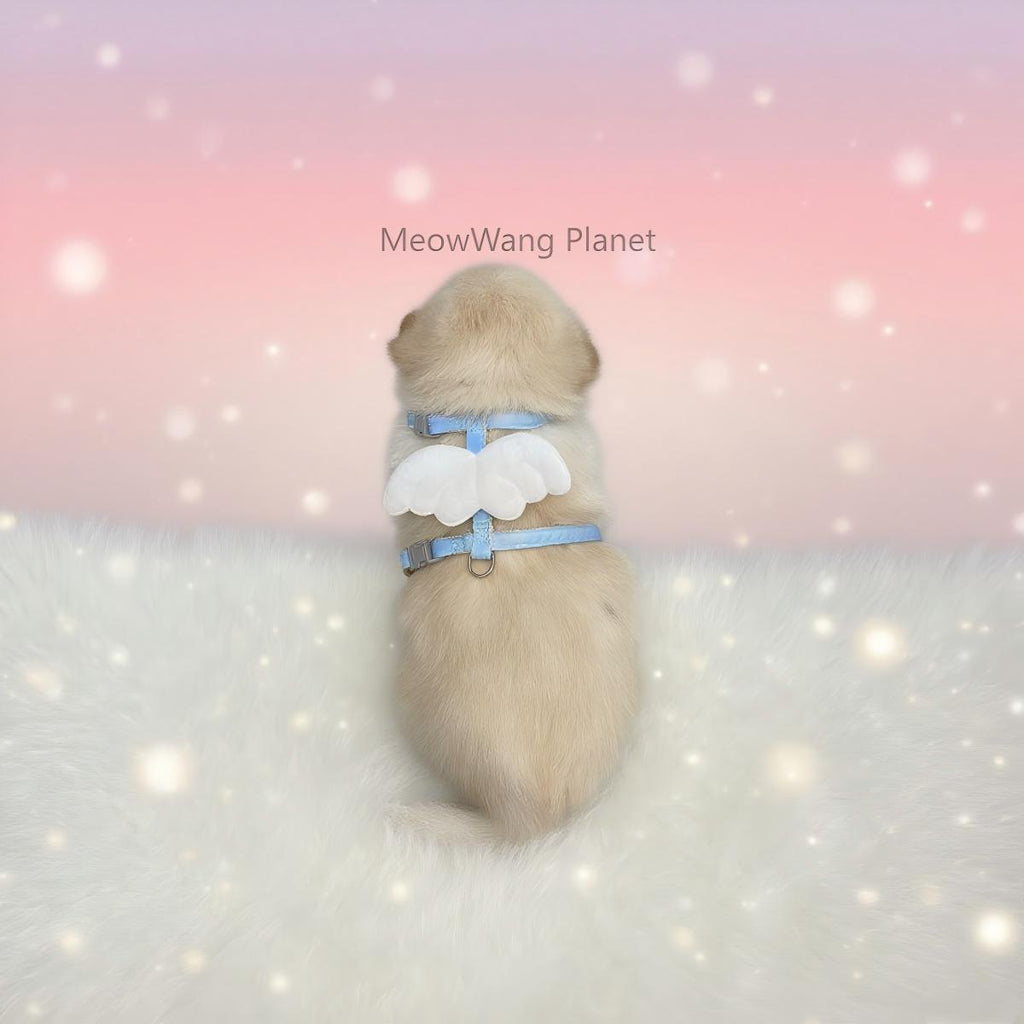 Dog Leash Cat Leash Charming Wings Pet Harness Leash Set Adjustable Escape Proof Vest For Cats Small Dogs Cute Comfortable Outdoor Wear Luxury Pet Gift For Cats Dogs