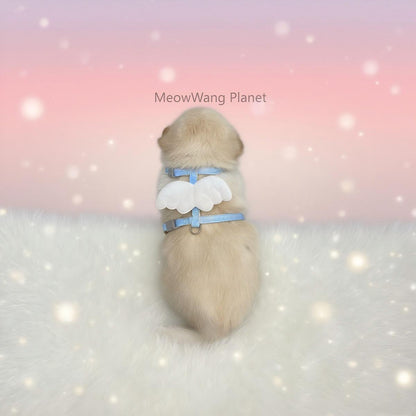 Dog Leash Cat Leash Charming Wings Pet Harness Leash Set Adjustable Escape Proof Vest For Cats Small Dogs Cute Comfortable Outdoor Wear Luxury Pet Gift For Cats Dogs