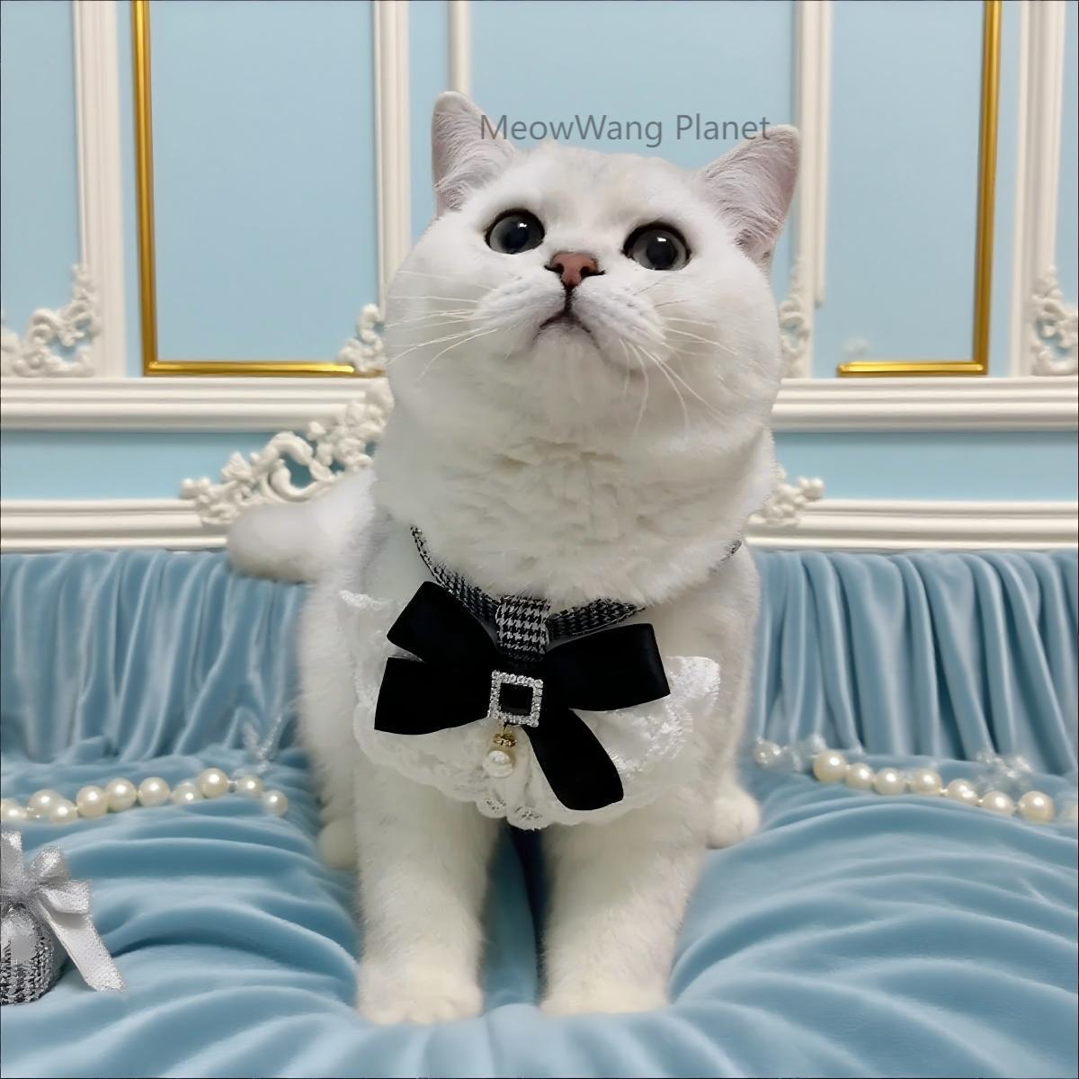 Dog Leash Cat Leash Luxury Lace Pet Harness Leash Set Elegant Inspired Adjustable Escape Proof Vest For Cats Small Dogs