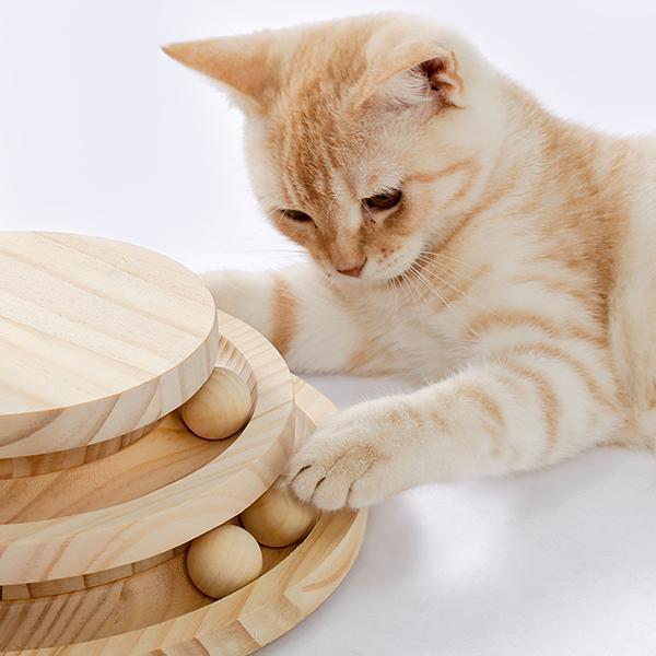 Indoor Cat Soft Scratching Board And Interactive Ball Track Toy Cat Rest And Grooming Supplies