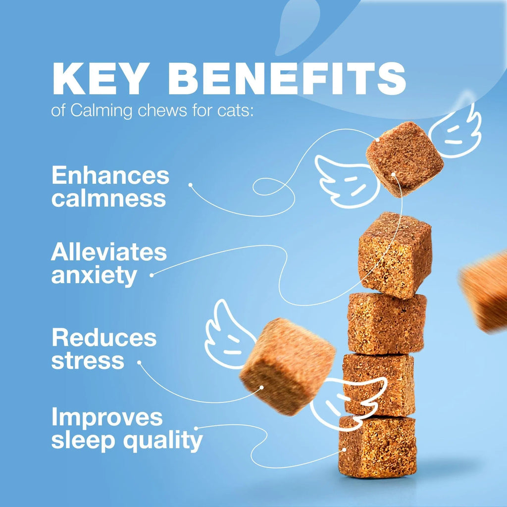 Cat Calming Treats Hemp Calming Care For Cats Cat Melatonin Soft Chews With Hemp Seed Oil And Probiotics Cat Anxiety Relief Storms Travel Grooming Separation Calming Chews For Cats