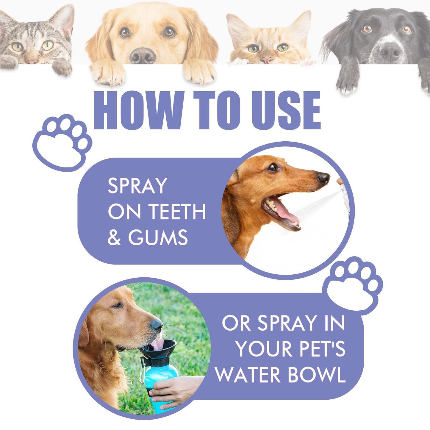 Yegebang Cat And Dog Teeth Cleaning Spray Pet Oral Cleaning Deodorizing Fresh Breath