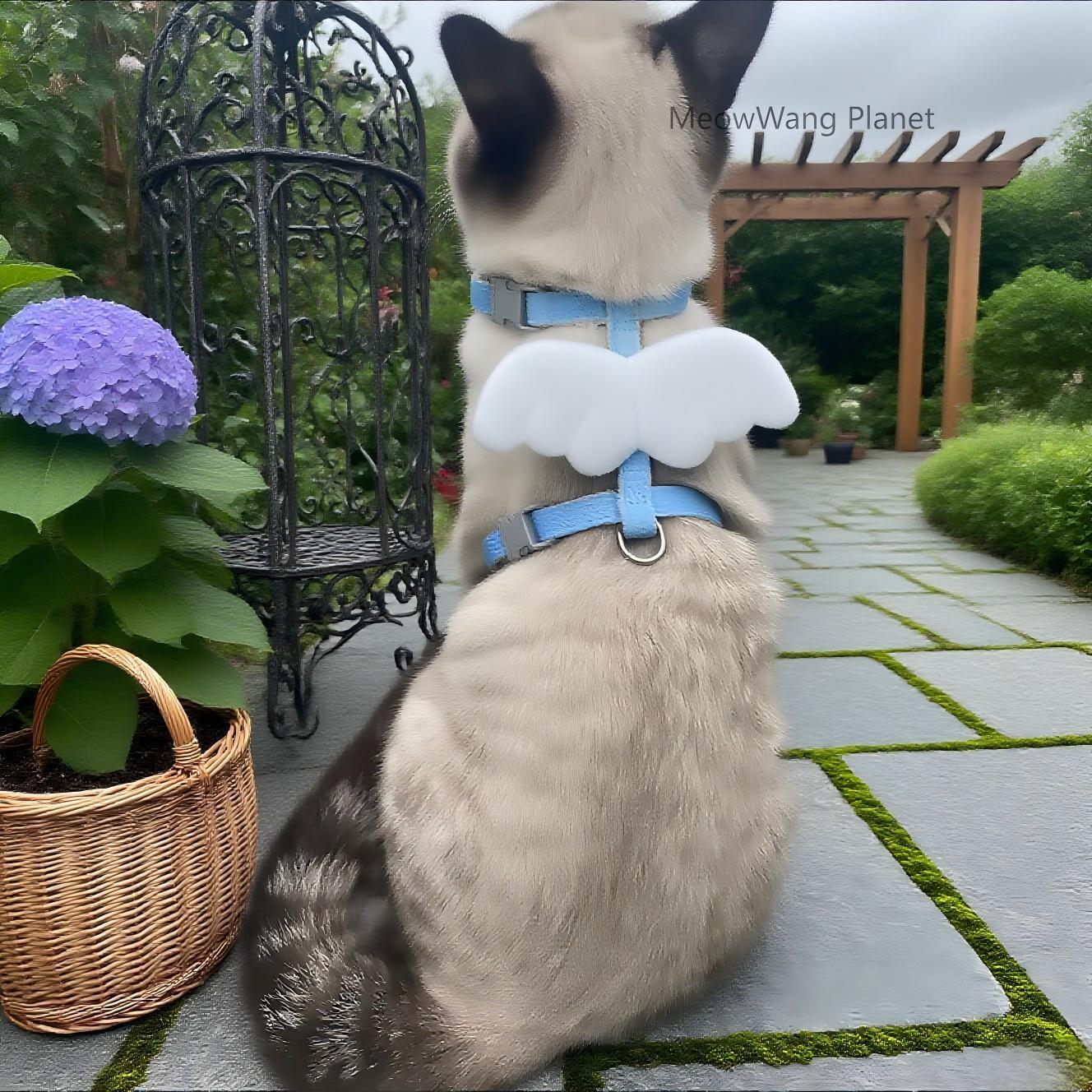 Dog Leash Cat Leash Charming Wings Pet Harness Leash Set Adjustable Escape Proof Vest For Cats Small Dogs Cute Comfortable Outdoor Wear Luxury Pet Gift For Cats Dogs