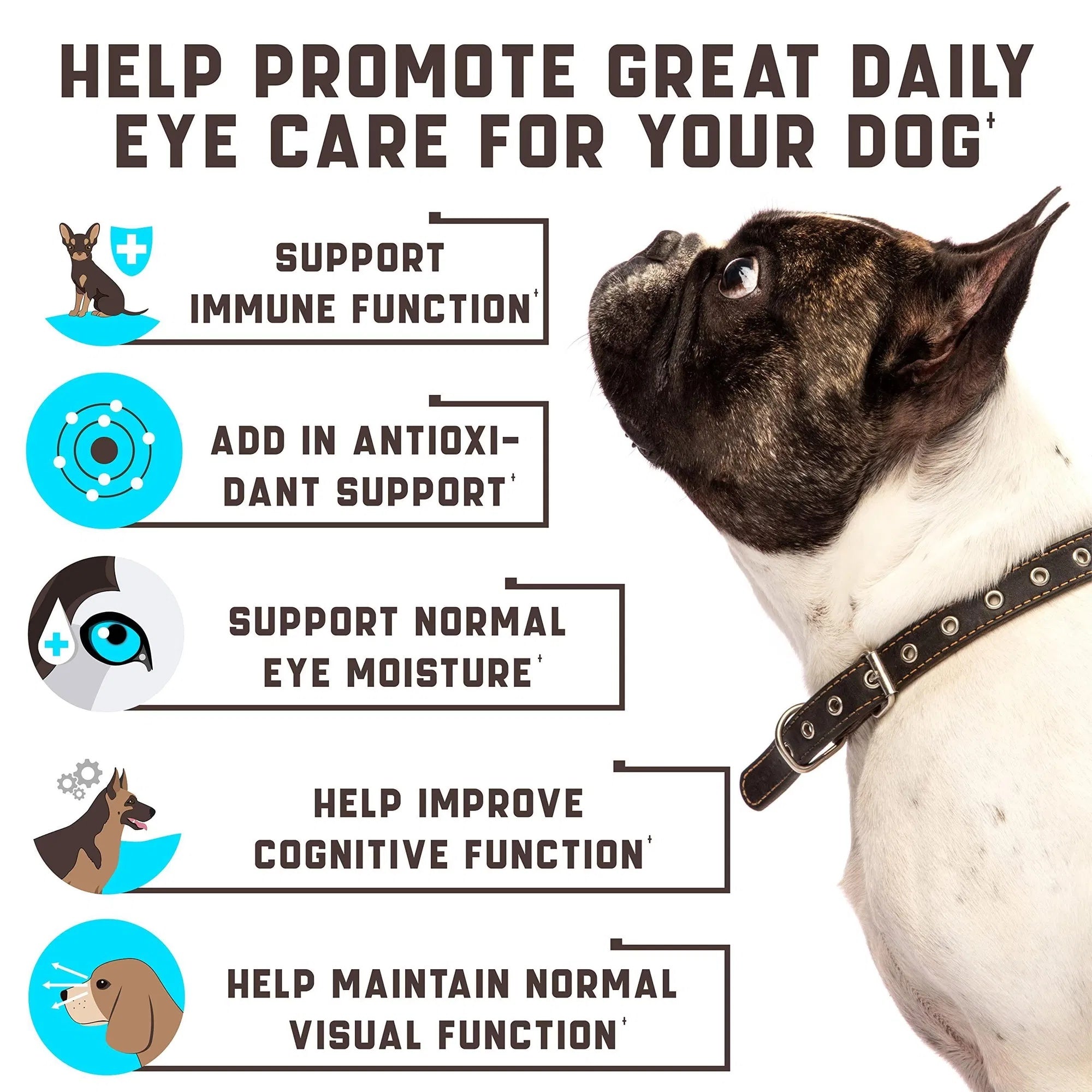 Eye Vitamins For Dogs Dog Vision Supplement For Tear Stains Dog Eye Care Immune Support Vitamin