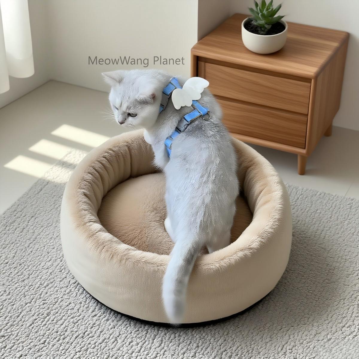 Dog Leash Cat Leash Charming Wings Pet Harness Leash Set Adjustable Escape Proof Vest For Cats Small Dogs Cute Comfortable Outdoor Wear Luxury Pet Gift For Cats Dogs