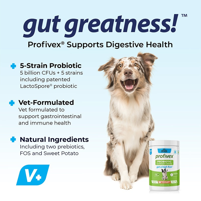 Hot Sales Probiotics Chews For Pets Customized Shape For Digestive Health Pets Supplement Healthy Gut For Dogs
