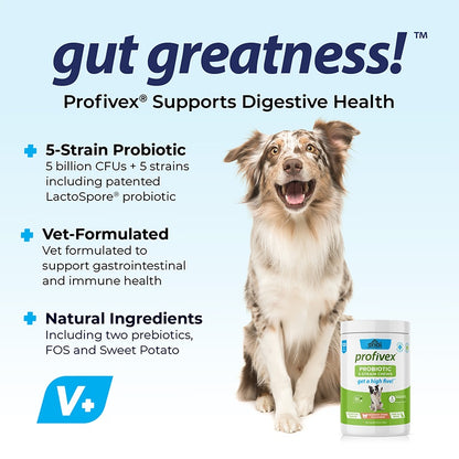 Hot Sales Probiotics Chews For Pets Customized Shape For Digestive Health Pets Supplement Healthy Gut For Dogs