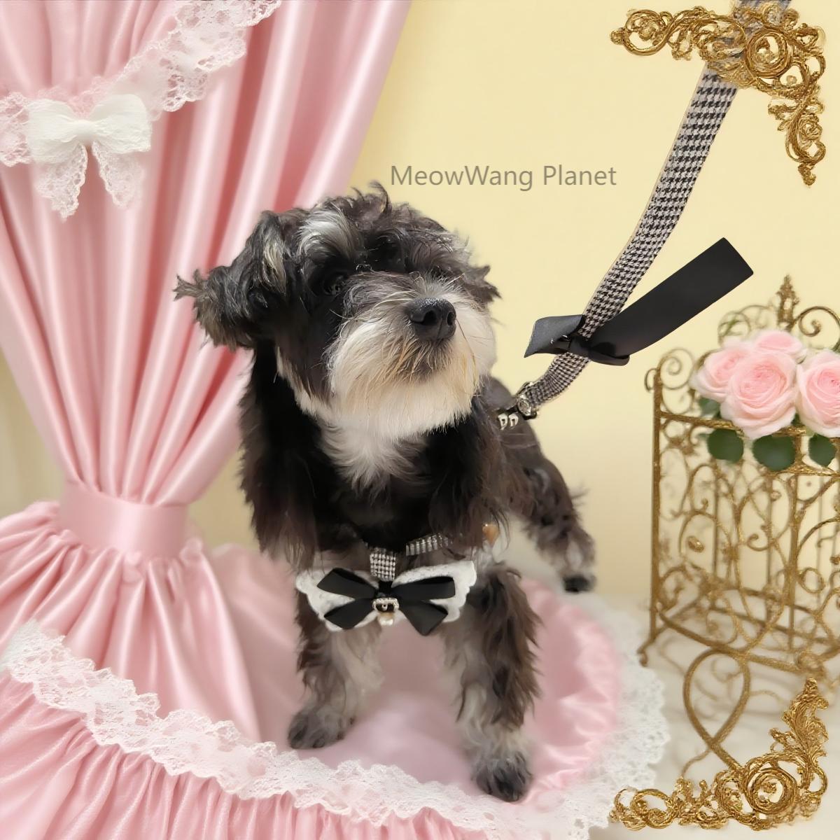 Dog Leash Cat Leash Luxury Lace Pet Harness Leash Set Elegant Inspired Adjustable Escape Proof Vest For Cats Small Dogs