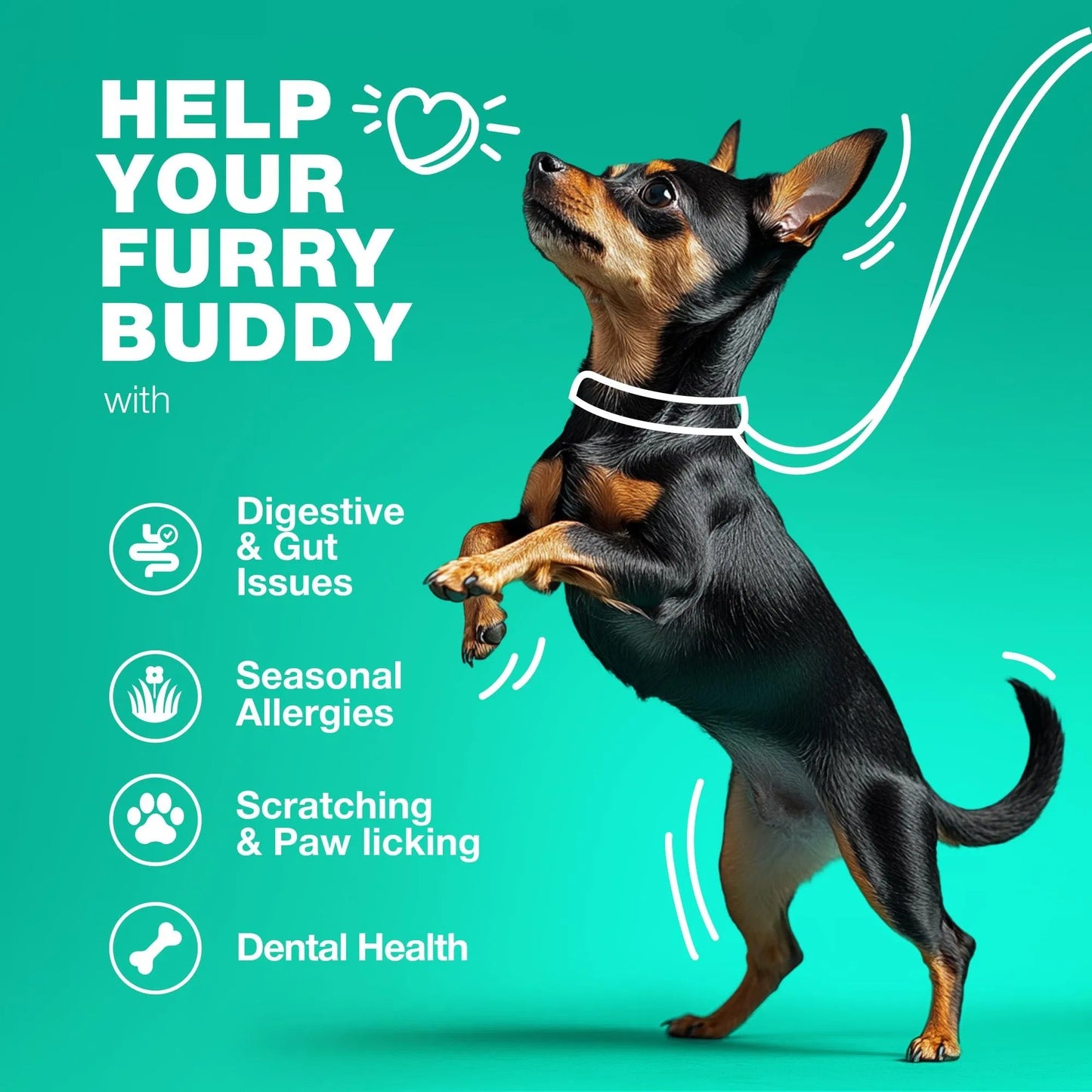 Probiotics For Dogs Support Gut Health Immunity Yeast Balance Itchy Skin Allergies Probiotics And Digestive Enzymes Coprophagia Deterrent For Dogs 180 Probiotic Chews For Dogs