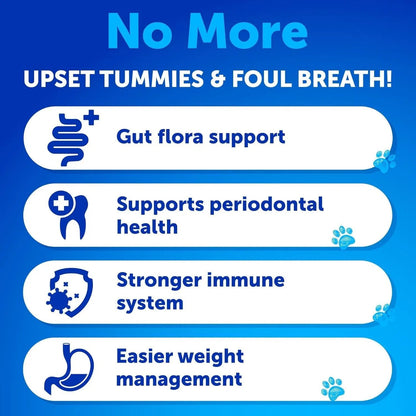 No Poo Chews For Dogs Puppy Coprophagia Stool Eating Deterrent Prevent Dog From Eating Poop Stop Eating Poop Treats With Probiotics & Enzymes Immune Digestive Gut Health Support Supplement