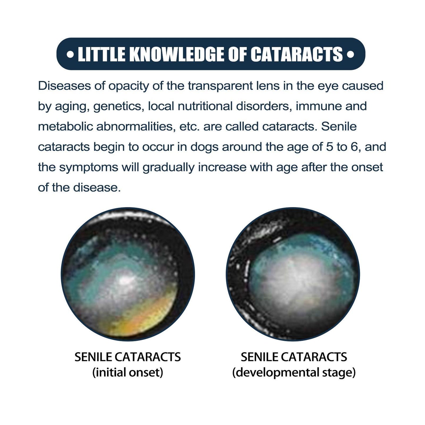 Igbang Pet Eye Drops For Cats And Dogs To Remove Tear Marks, Relieve Itchy Eyes And Clean